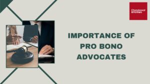 Read more about the article The importance of Pro-Bono Advocates
