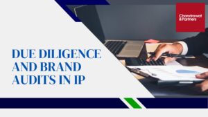 Read more about the article Due diligence and brand audits in IP