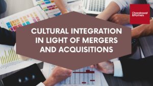 Read more about the article Cultural integration in light of mergers and acquisitions