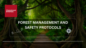 Read more about the article Forest Management and Safety Protocols