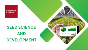 Read more about the article SEED SCIENCE AND DEVELOPMENT