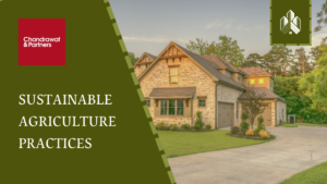 Read more about the article SUSTAINABLE AGRICULTURE PRACTICES