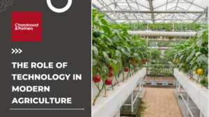 Read more about the article THE ROLE OF TECHNOLOGY IN MODERN AGRICULTURE