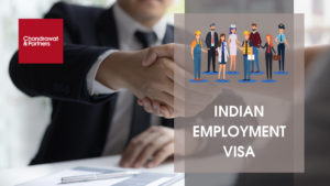 Read more about the article Indian Employment Visa