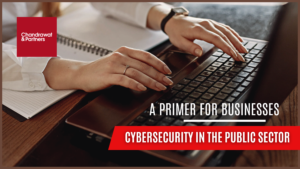 Read more about the article Cyber security in the Public Sector: A Primer for Businesses