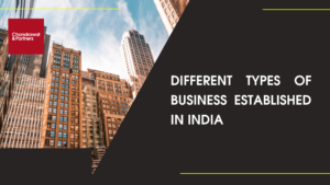 Read more about the article Different Types of Business Established in India