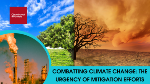 Read more about the article COMBATING CLIMATE CHANGE
