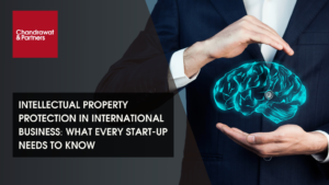 Read more about the article INTELLECTUAL PROPERTY PROTECTION IN INTERNATIONAL BUSINESS: WHAT EVERY START-UP NEEDS TO KNOW