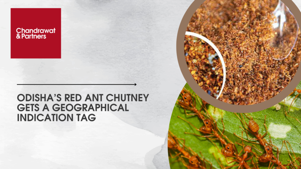 Odisha’s Red Ant Chutney Gets A Geographical Indication Tag