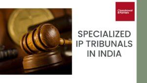 Read more about the article Specialized IP tribunals in India