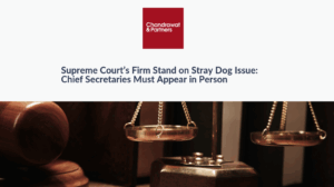 Read more about the article Supreme Court’s Firm Stand on Stray Dog Issue: Chief Secretaries Must Appear in Person
