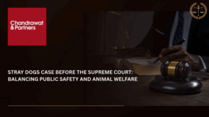 Read more about the article STRAY DOGS CASE BEFORE THE SUPREME COURT: BALANCING PUBLIC SAFETY AND ANIMAL WELFARE