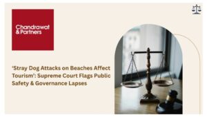 Read more about the article Stray Dog Attacks on Beaches Affect Tourism’: Supreme Court Flags Public Safety & Governance Lapses