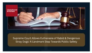 Read more about the article SUPREME COURT ALLOWS EUTHANASIA OF RABID & DANGEROUS STRAY DOGS: A LANDMARK STEP TOWARDS PUBLIC SAFETY
