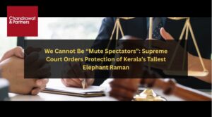 Read more about the article WE CANNOT BE “MUTE SPECTATORS”: SUPREME COURT ORDERS PROTECTION OF KERALA’S TALLEST ELEPHANT RAMAN